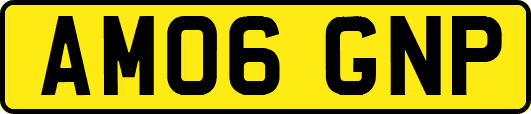 AM06GNP