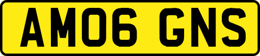AM06GNS