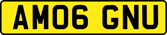 AM06GNU