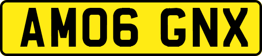 AM06GNX