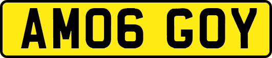 AM06GOY
