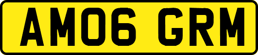 AM06GRM