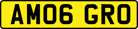 AM06GRO