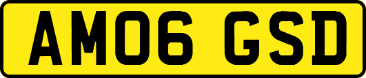 AM06GSD