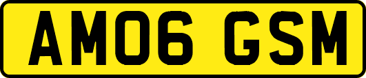 AM06GSM