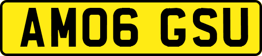 AM06GSU