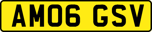AM06GSV
