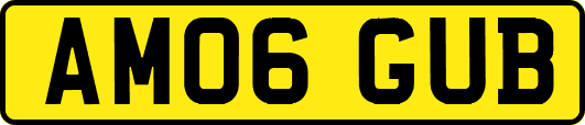 AM06GUB