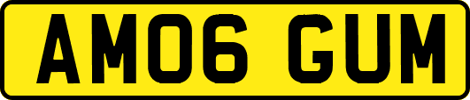 AM06GUM