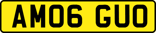 AM06GUO