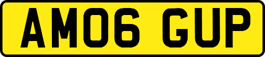 AM06GUP