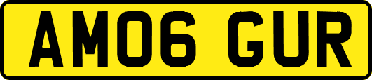 AM06GUR