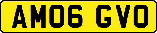 AM06GVO