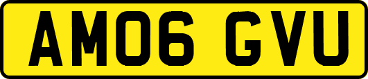 AM06GVU