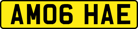 AM06HAE