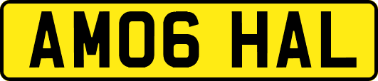 AM06HAL