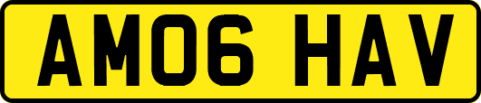 AM06HAV