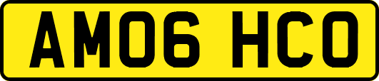 AM06HCO