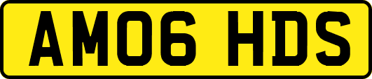 AM06HDS