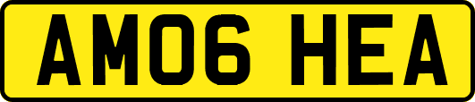 AM06HEA