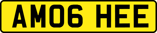 AM06HEE