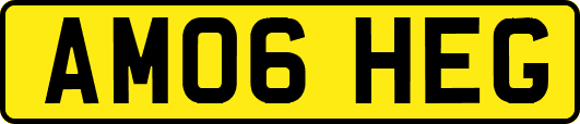 AM06HEG