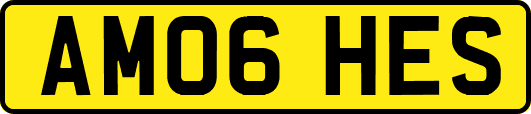 AM06HES