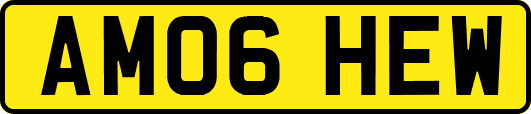 AM06HEW