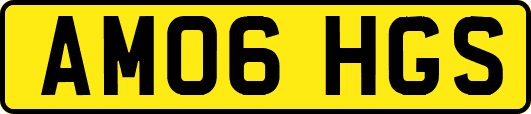 AM06HGS