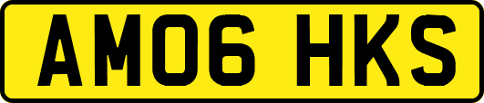 AM06HKS