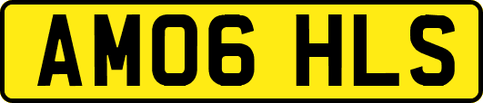 AM06HLS