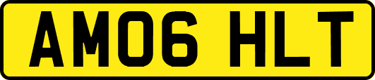 AM06HLT