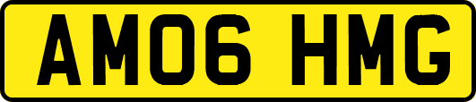 AM06HMG