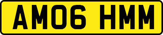AM06HMM