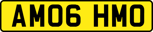 AM06HMO