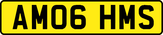 AM06HMS
