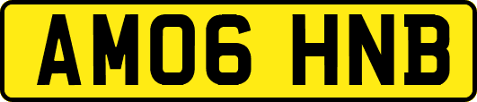 AM06HNB