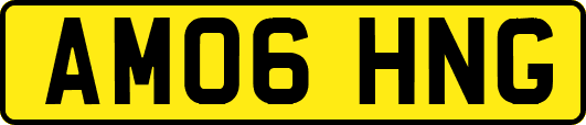AM06HNG