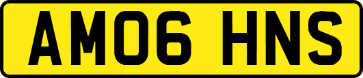 AM06HNS