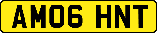 AM06HNT
