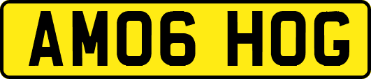 AM06HOG