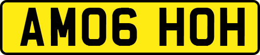 AM06HOH