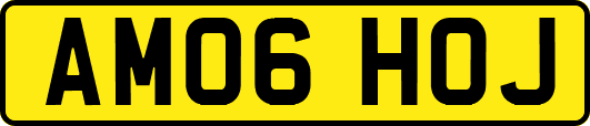 AM06HOJ