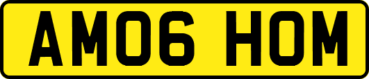 AM06HOM