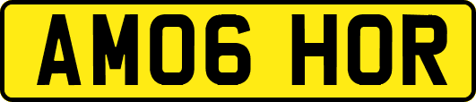 AM06HOR
