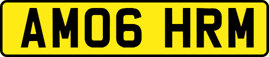 AM06HRM