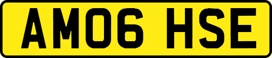 AM06HSE