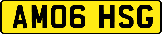 AM06HSG