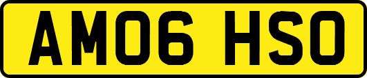 AM06HSO