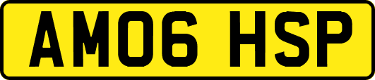 AM06HSP